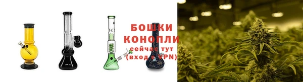 эйфоретик Михайловск