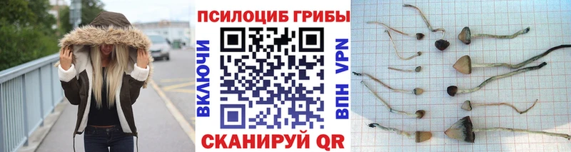 Галлюциногенные грибы Cubensis  Урус-Мартан 