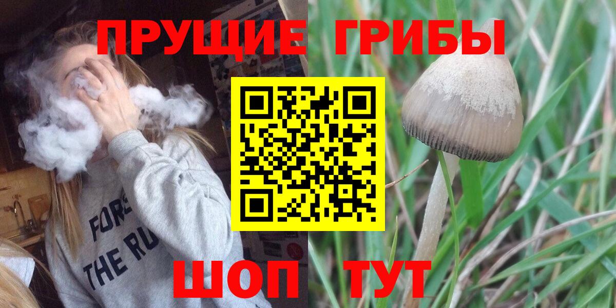 Псилоцибиновые грибы Psilocybe  Галлюциногенные грибы Psilocybe  Вход с VPN  Урус-Мартан 