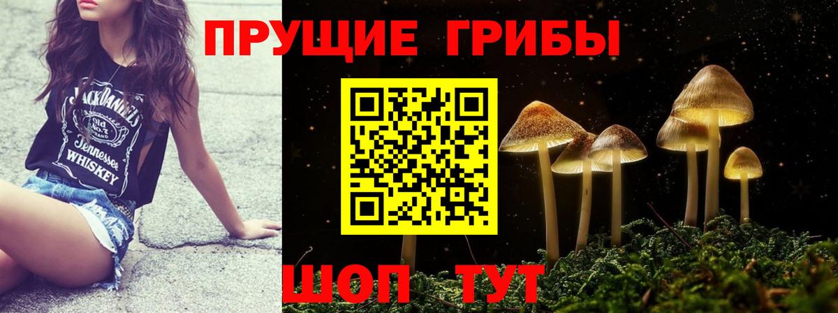 Галлюциногенные грибы прущие грибы Урус-Мартан